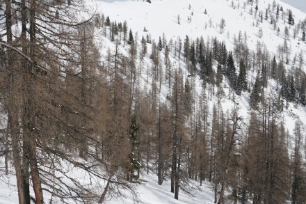 na Benzegg je bil sneg povsem moker