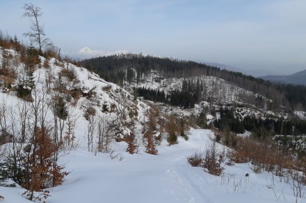 Jelovška - preko planine Pečana