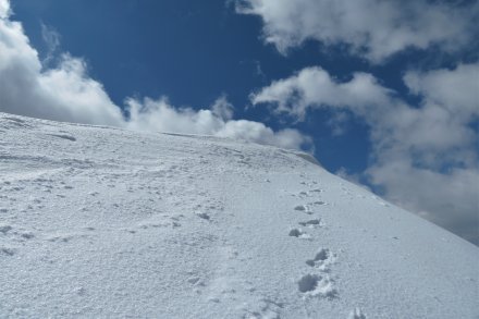Izstop na vrh Velikega vrha v Begunjščici