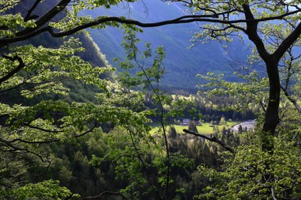 dolina Lepene se kopa v zelenih barvah