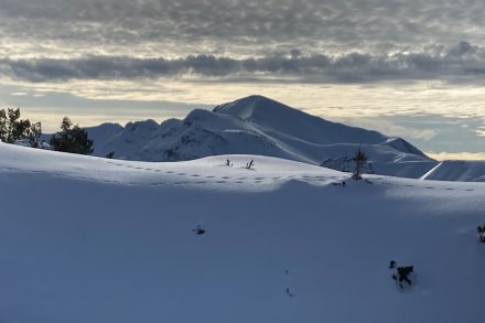 Rodica od Ski hotela Vogel prek Planine Suha