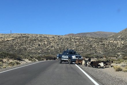 Policaj na cesti do Las Lenas igra tudi vlogo kozjega pastirja